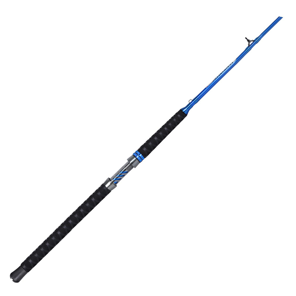 Catfish Fishing Rod Portable Travel Casting Rod H40591