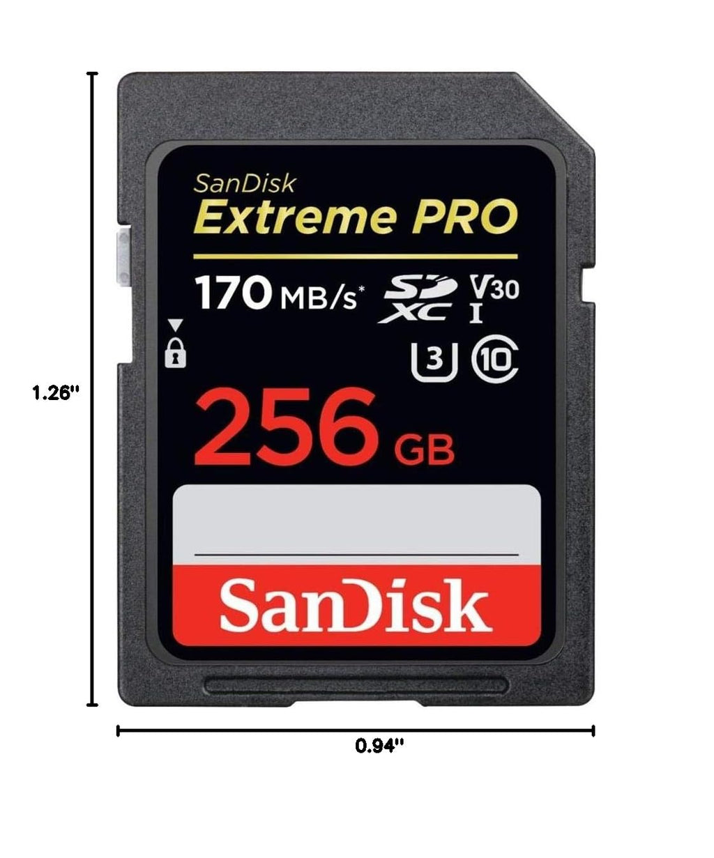256GB SDXC UHS-I SD Card L983