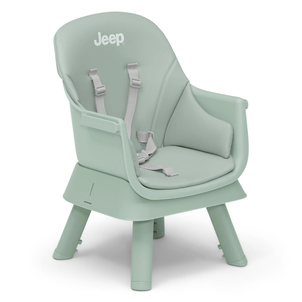 6-in-1 High Chair Converts to Stool Booster Seat Toddler Chair Activity Table and Desk and Chair Sage Green N8679