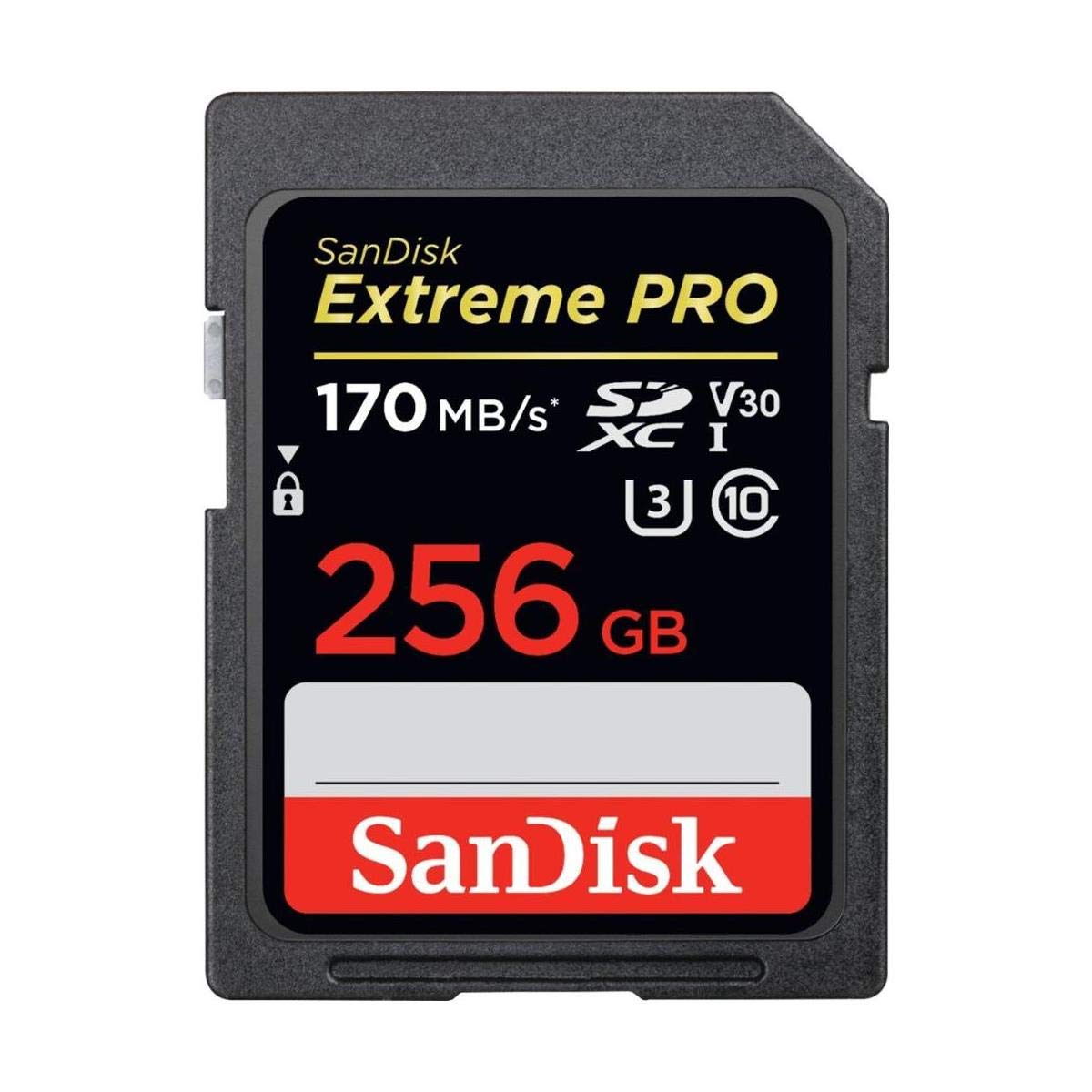 256GB SDXC UHS-I SD Card L983