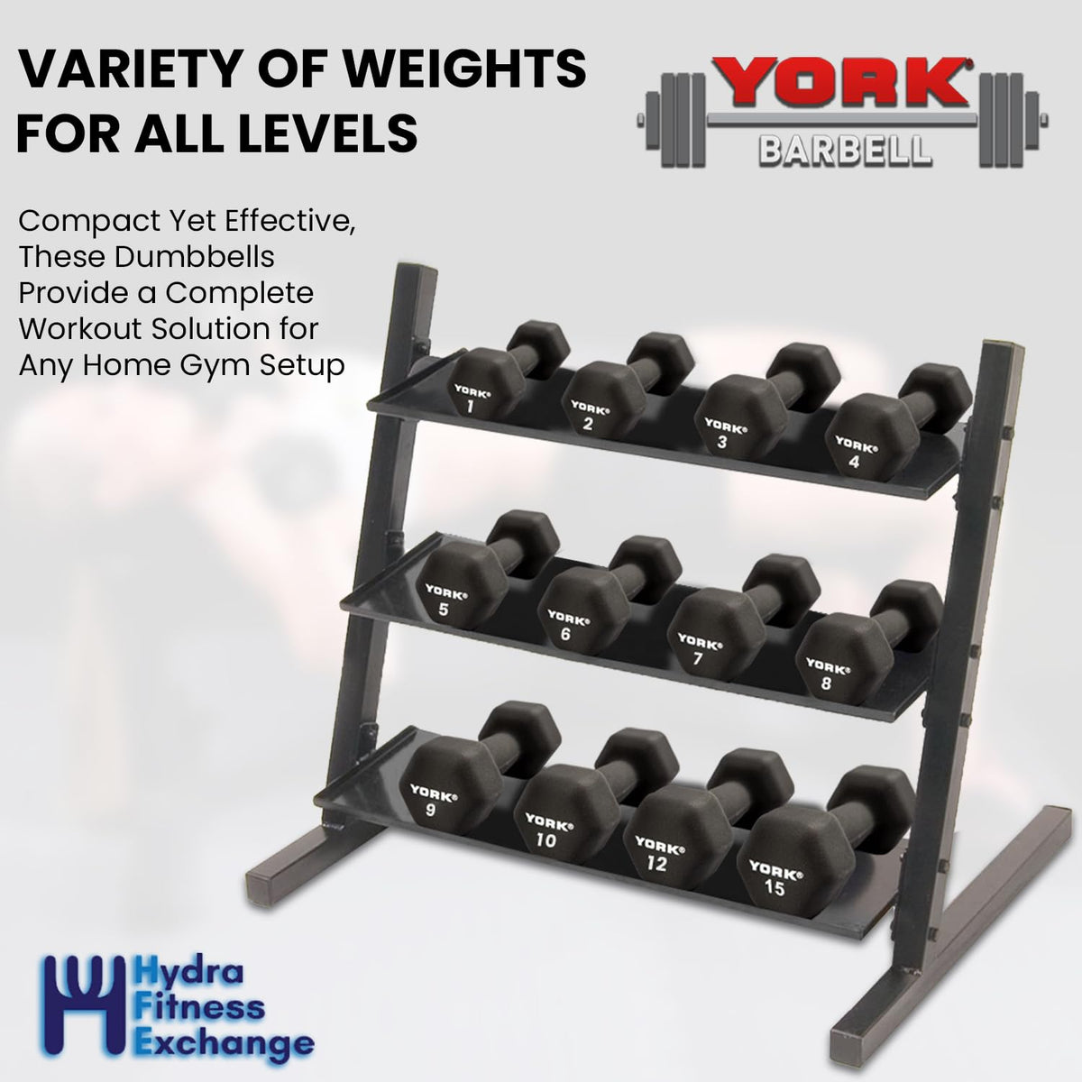 Neoprene Hexagon Dumbbells with Cast Ergo Handle, 10lb Pack of 4 U457