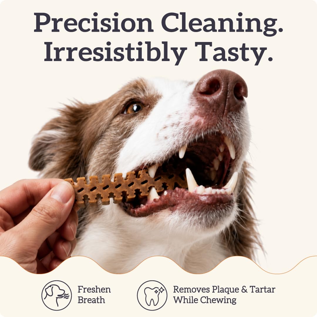 Large Dog Dental Chews, 25-50 lbs, 27Ct O69773