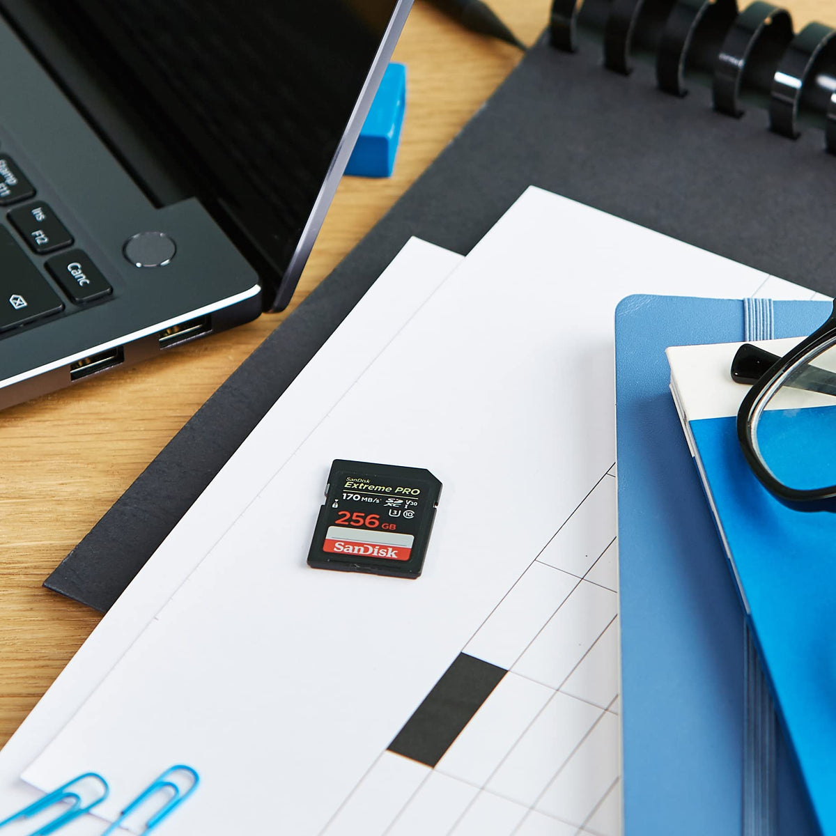 256GB SDXC UHS-I SD Card L983