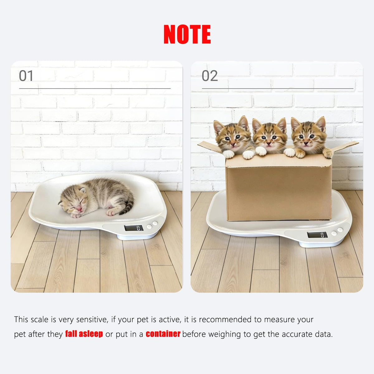 Digital Pet Scale 33lbs F313