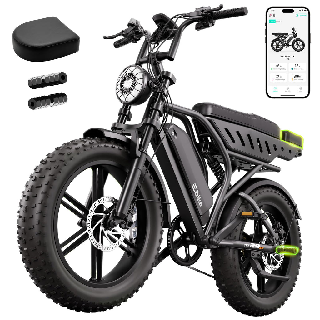 Electric Bike 48V 15Ah Battery 1500W Peak Motor 20 * 4.0 Fat Tire H1405