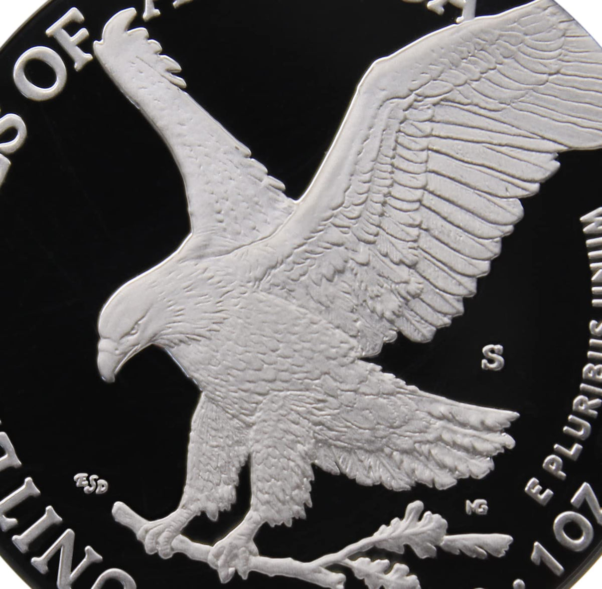 1 oz American Silver Eagle Coin Y35760