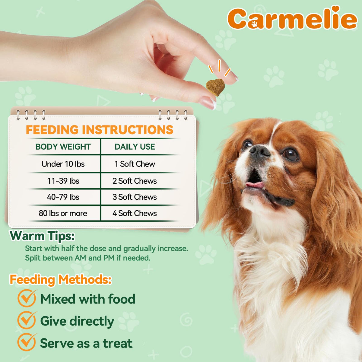 Flea and Tick Prevention for Dogs M9244