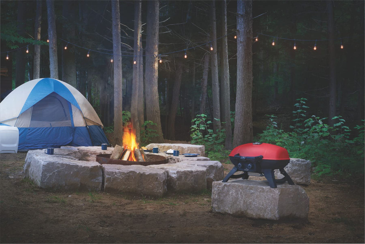 Portable Propane Grill with Griddle Insert Q51417