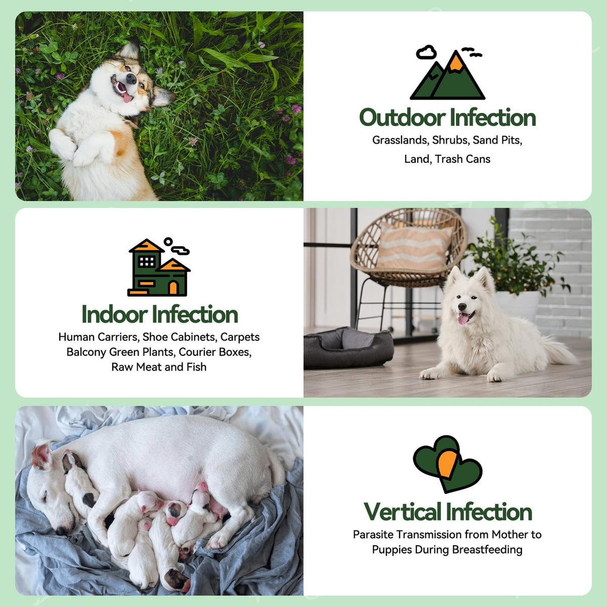 Flea and Tick Prevention for Dogs M9244