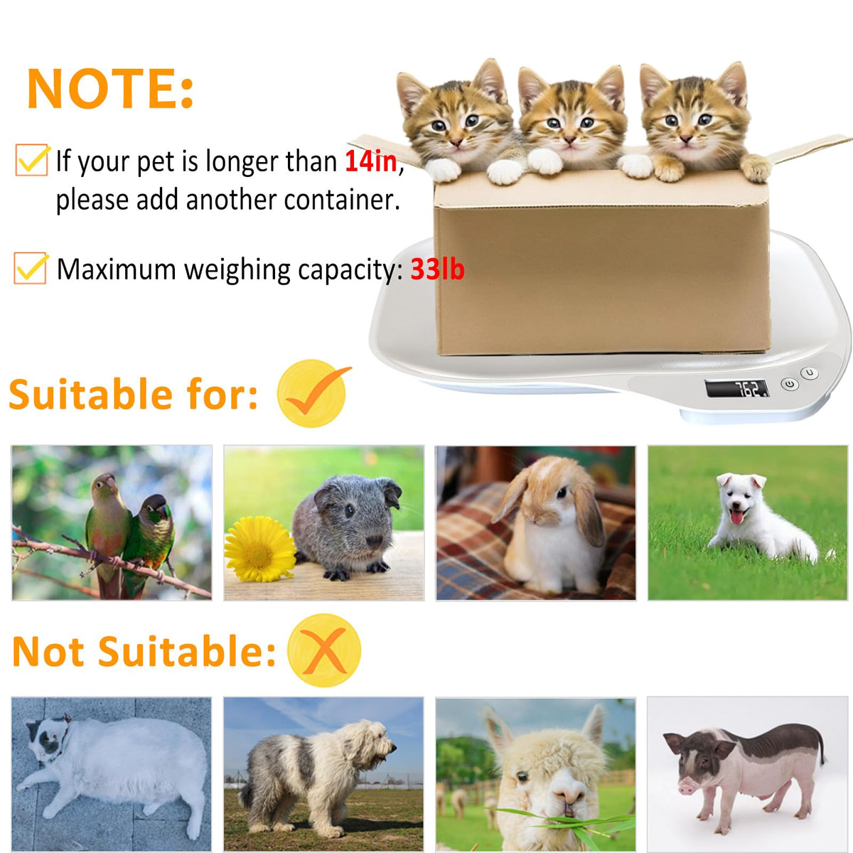 Digital Pet Scale 33lbs F313
