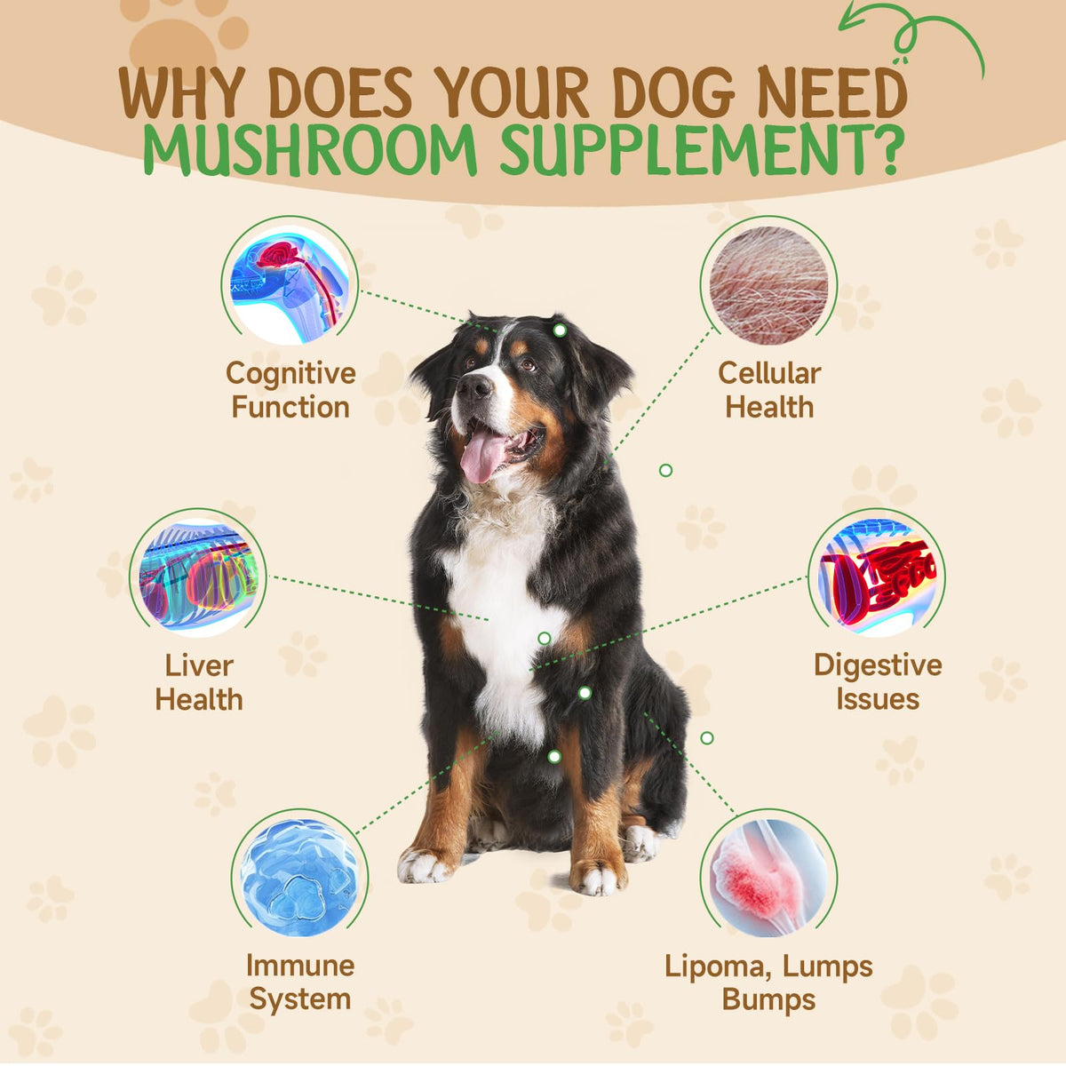 9 in 1 Mushroom for Dogs C463458