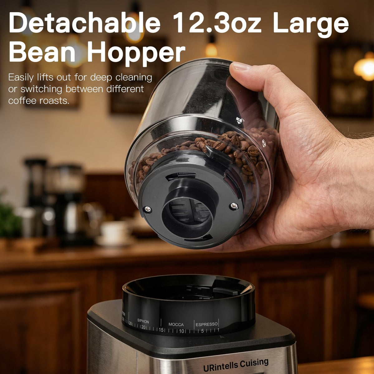 Silver Conical Burr Coffee Grinder Y60575