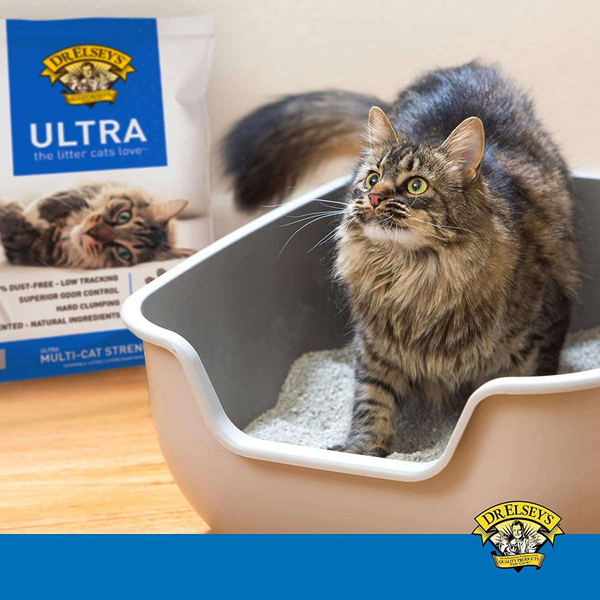 Clumping Clay Cat Litter 40 lb. Bag J48196