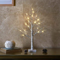Lighted Birch Tree with Lights B927