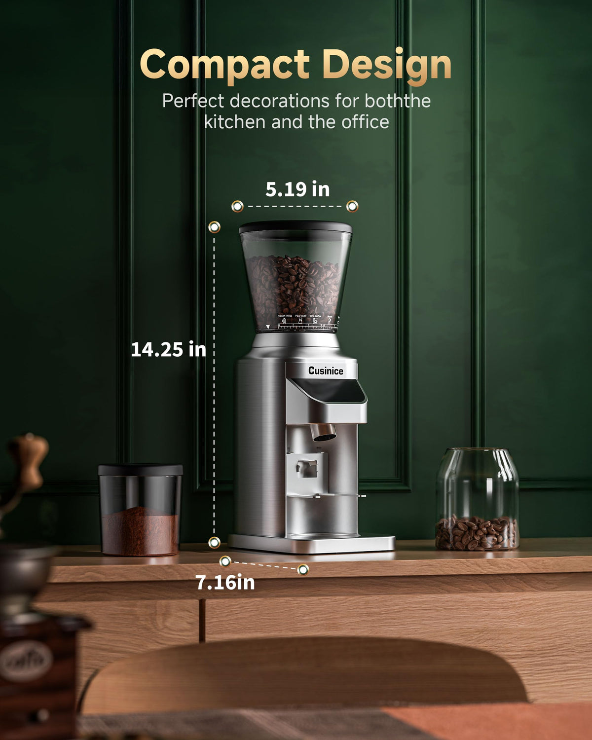 Conical Burr Coffee Grinder F81340