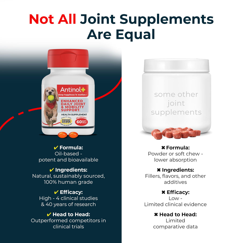 Hip & Joint Supplement for Dogs, 60 Soft Gels J832