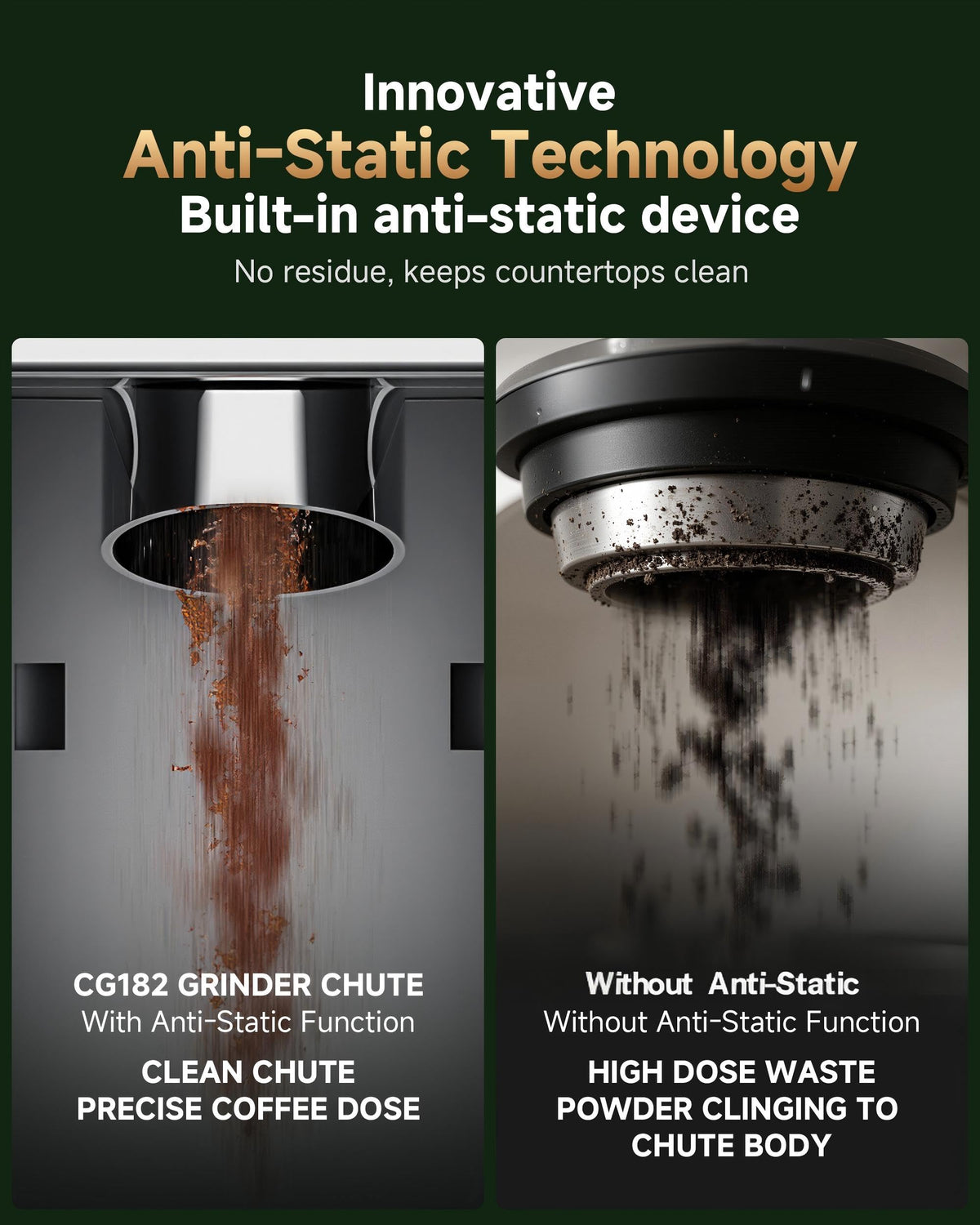 Conical Burr Coffee Grinder F81340