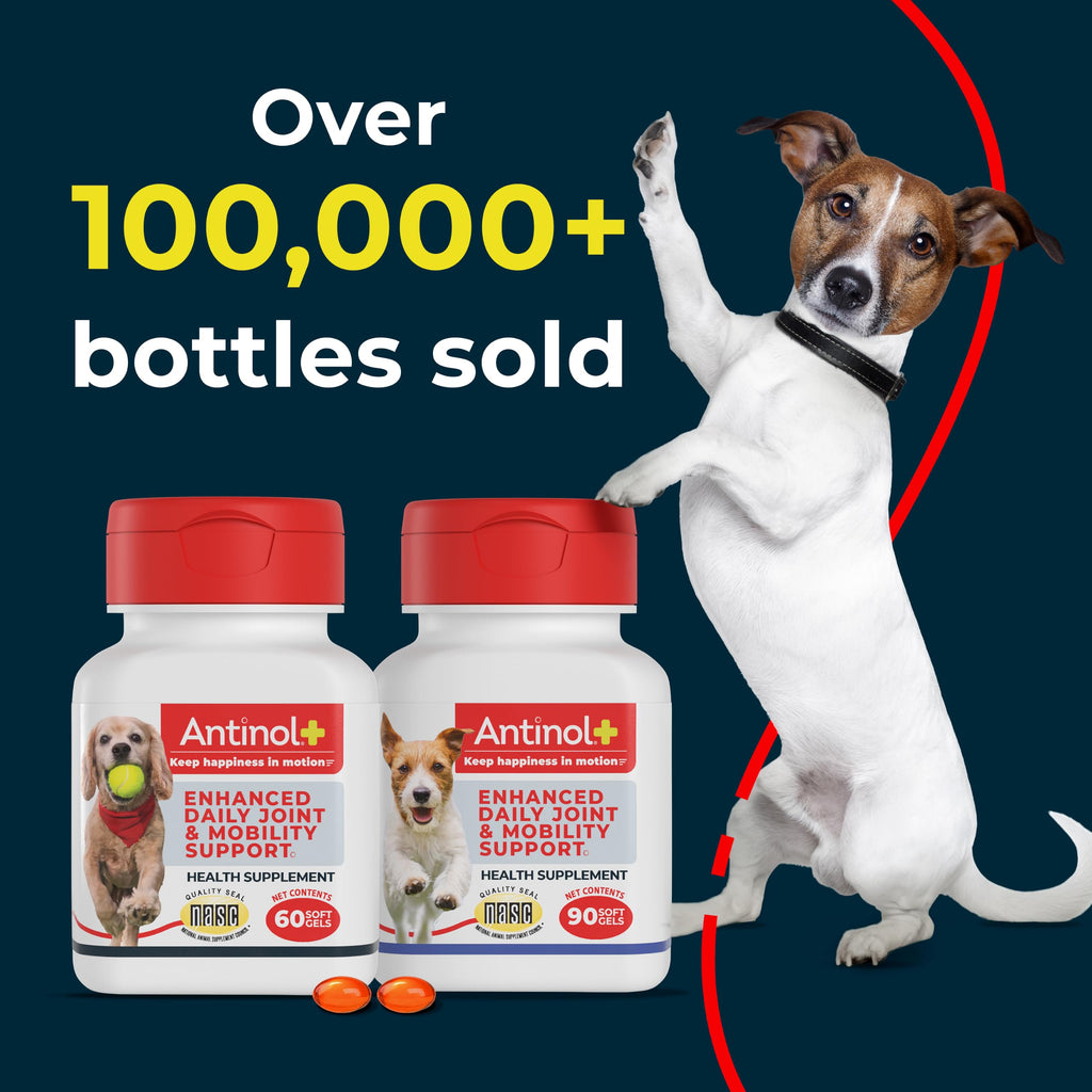 Hip & Joint Supplement for Dogs, 60 Soft Gels J832