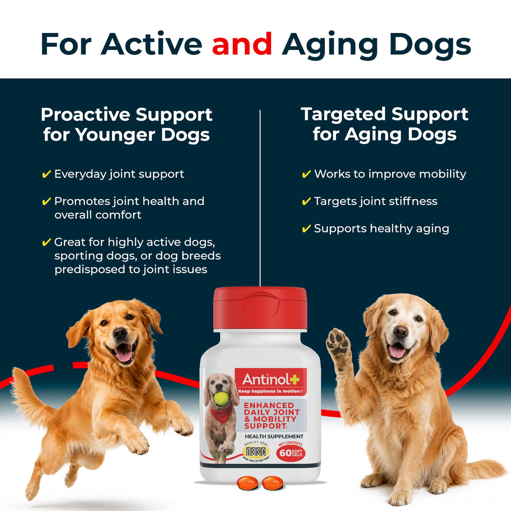 Hip & Joint Supplement for Dogs, 60 Soft Gels J832