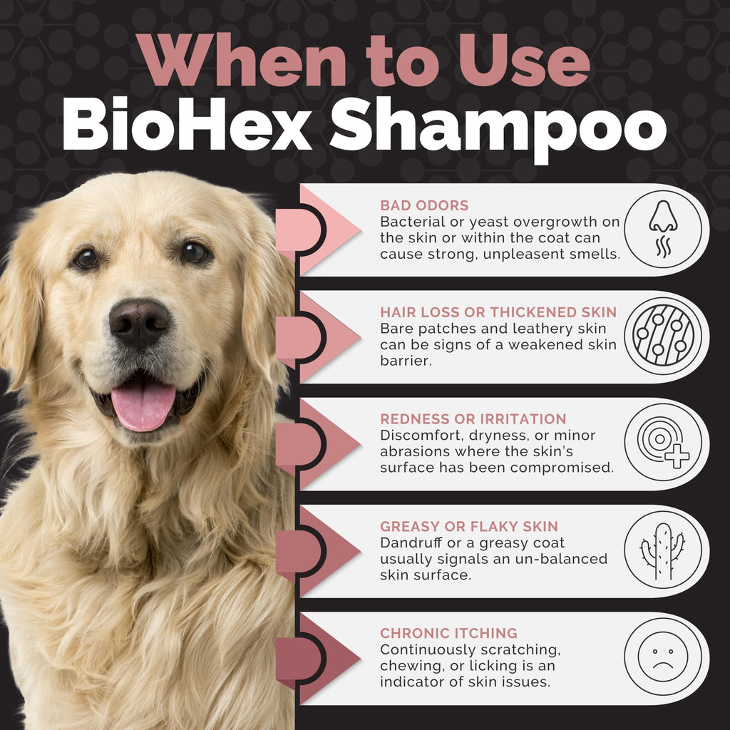 Dog Cat & Horse Shampoo 16oz X839