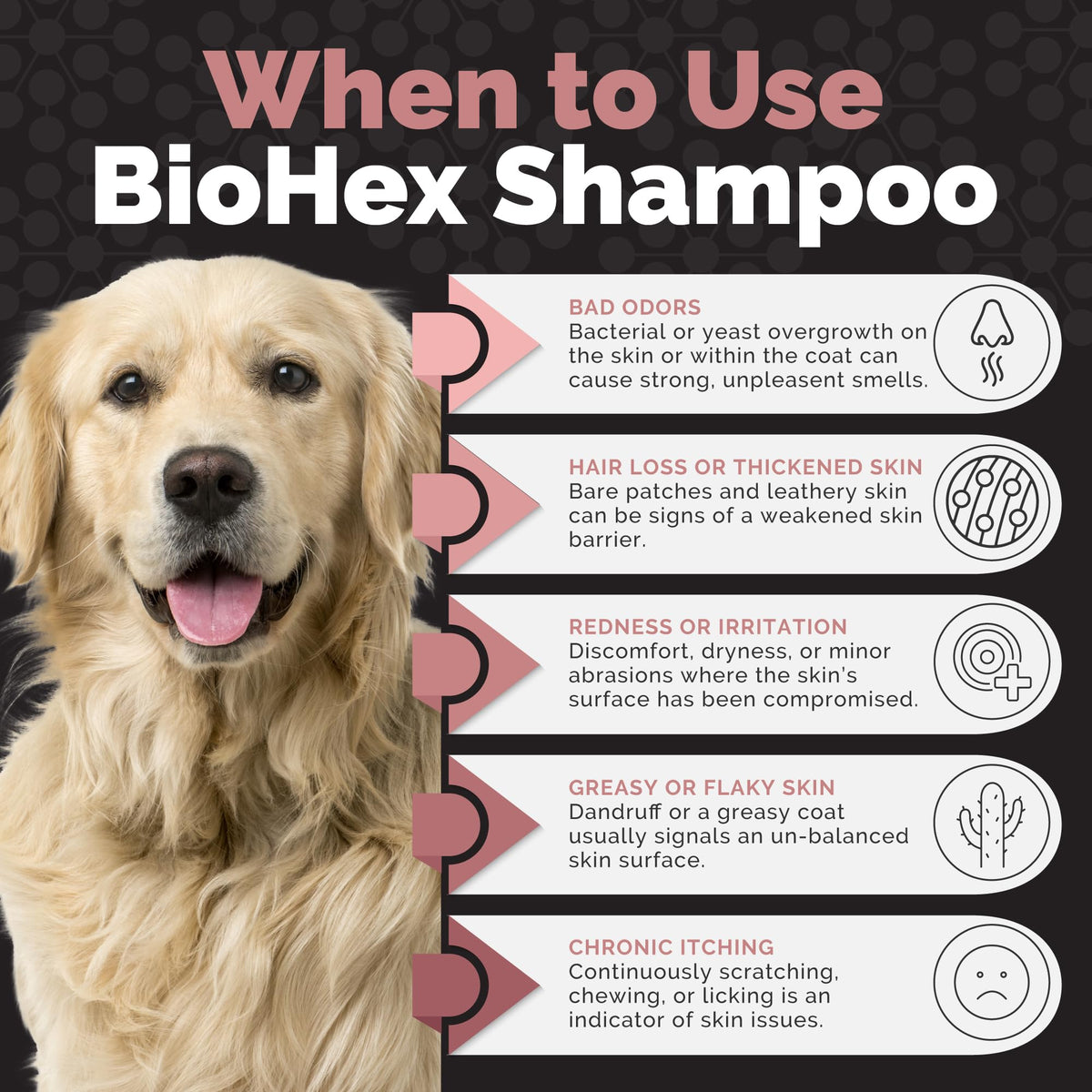 Dog Cat & Horse Shampoo 16oz X839