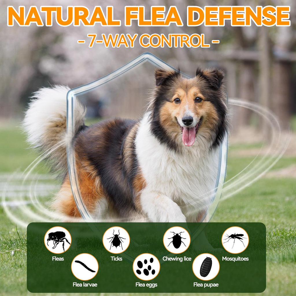 Flea and Tick Prevention for Dogs M9244