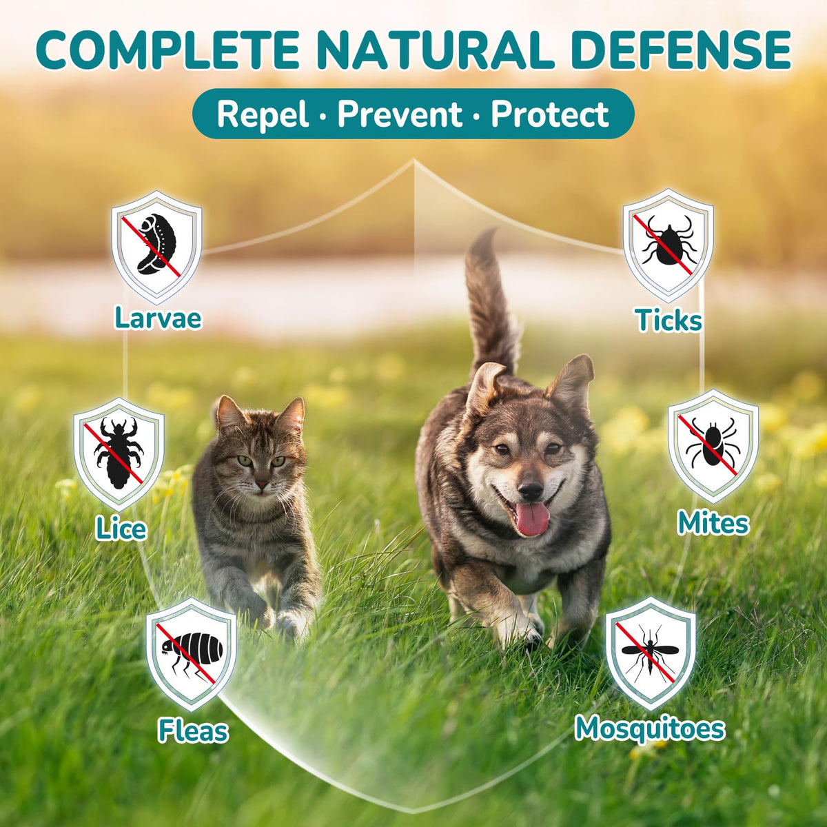 Natural Flea & Tick Prevention Bundle for Cats & Dogs, 200 Chews + Herbal Drops S374