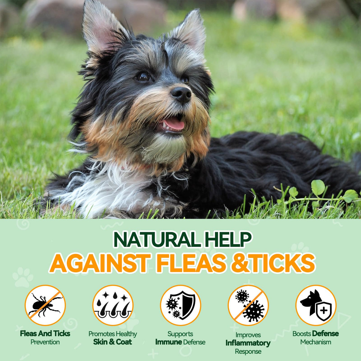 Flea and Tick Prevention for Dogs M9244