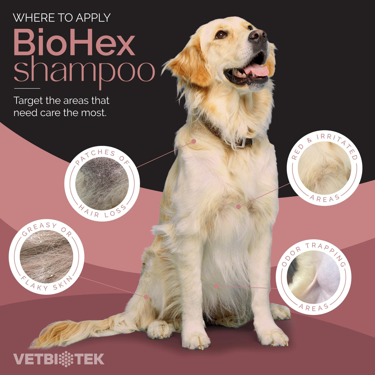 Dog Cat & Horse Shampoo 16oz X839