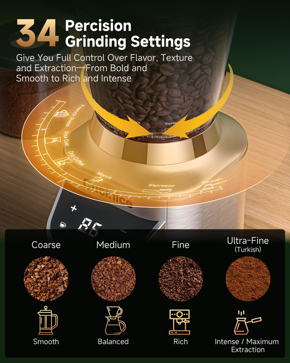 Conical Burr Coffee Grinder F81340