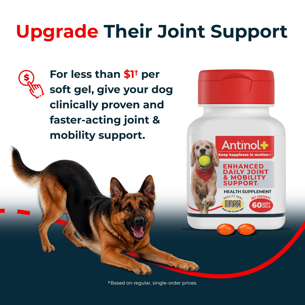 Hip & Joint Supplement for Dogs, 60 Soft Gels J832