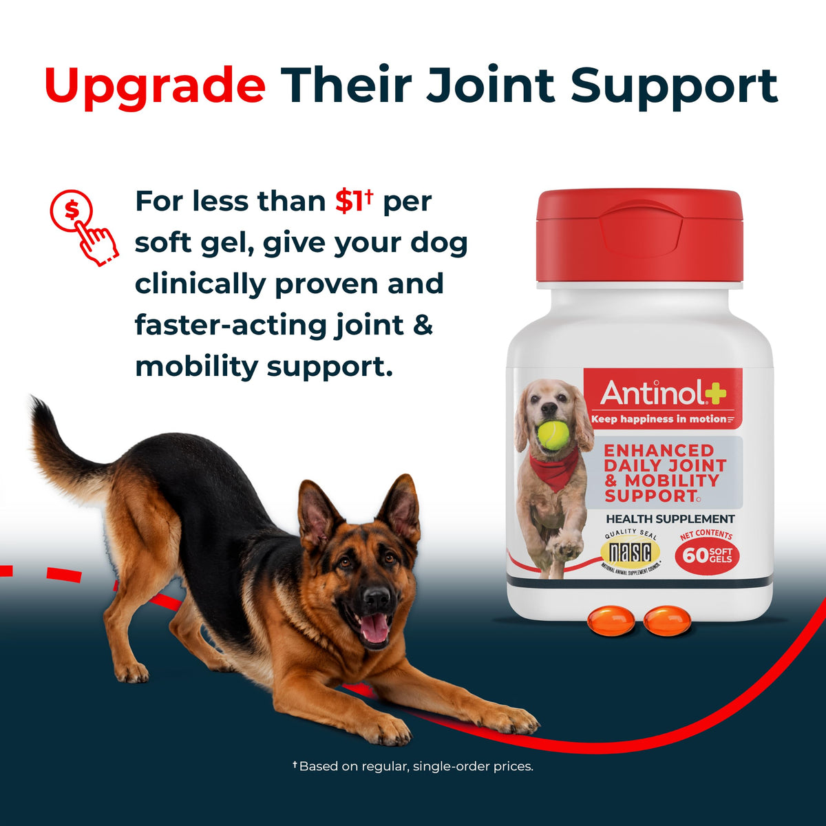 Hip & Joint Supplement for Dogs, 60 Soft Gels J832