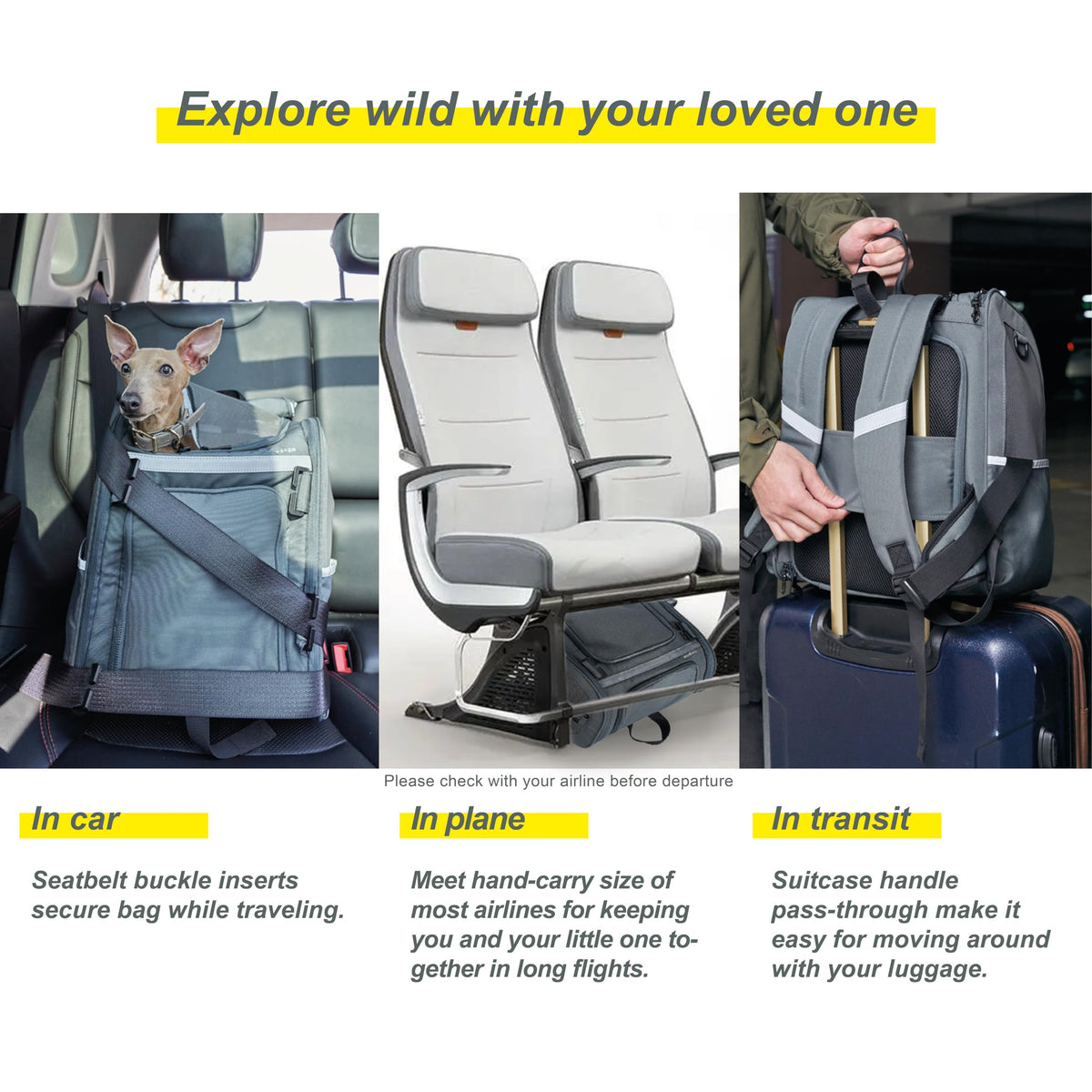 Expandable Foldable Pet Carrier Backpack P671