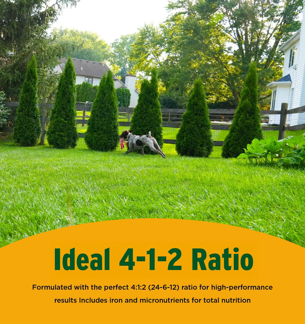 All-Purpose Lawn Fertilizer 18 lbs G734