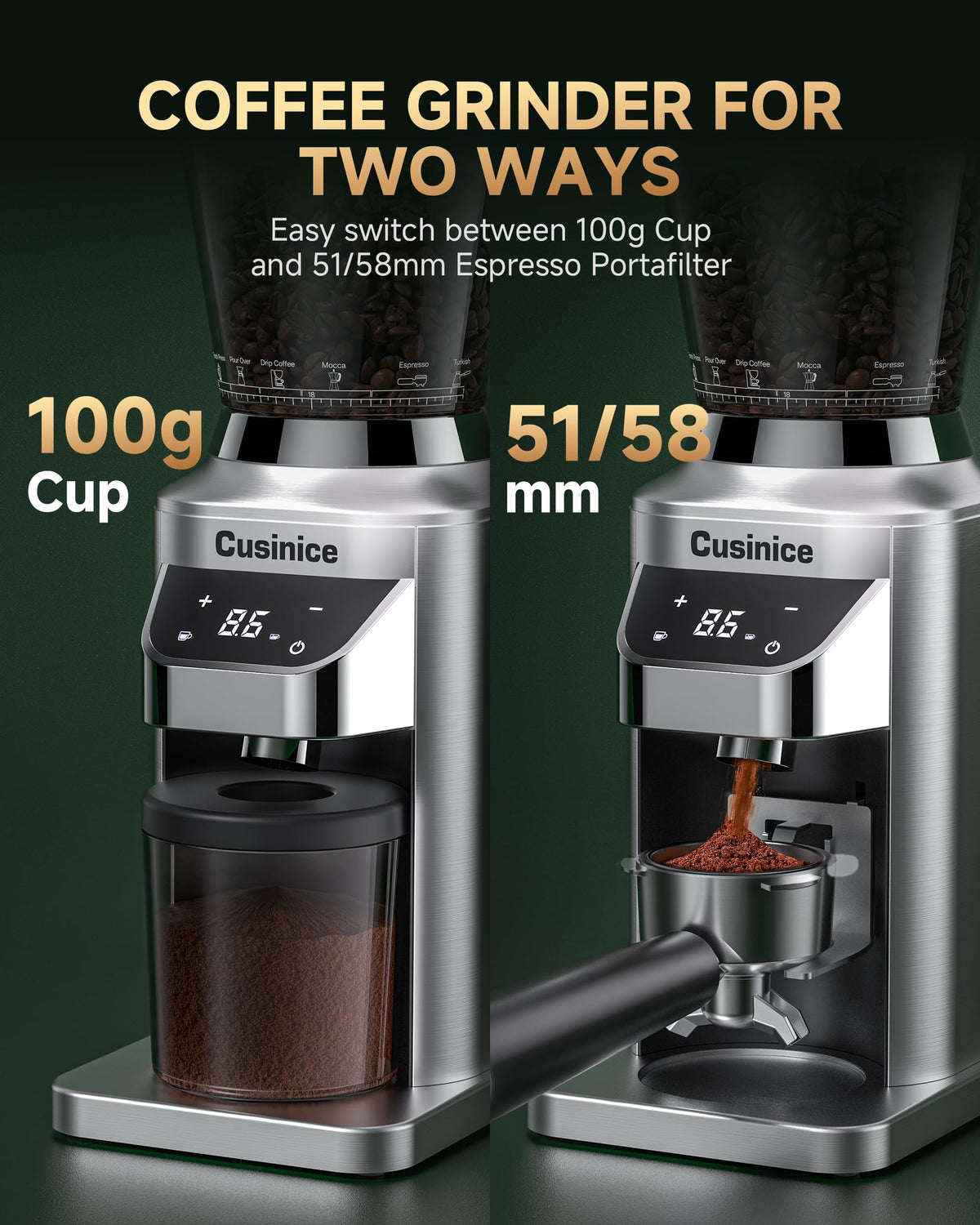 Conical Burr Coffee Grinder F81340